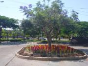DEPARTAMENTO EN VENTA EN SAN BORJA PENTAGONITO 1° PISO