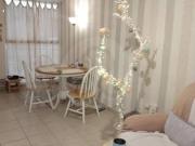 Departamento en venta en San Rafael 2 Recámaras
