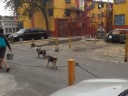 Departamento en venta en Santa Ana Poniente, Cancún,...