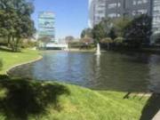 Departamento en venta en Santa Fe Cuajimalpa, Cuajimalpa...