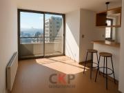 Departamento en Venta en Santo Domingo/ Metro Bellas Artes