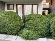 Departamento en Venta en TOWN HOUSE CHICUREO