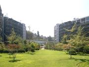 Departamento en Venta en Vía Aurora/Lo Curro