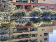 Departamento en Venta Interlomas en Puerta del Lago