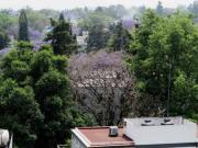 Departamento en venta Lomas de Chapultepec