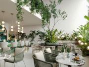 DEPARTAMENTO EN VENTA MERIDA, ZONA CHOLUL, CON GIMNASIO...