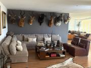 Departamento en venta o renta en Lomas de Chapultepec