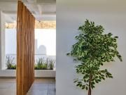 Departamento En Venta Santiago Manzanillo Departamento En Venta Santiago Manzanillo