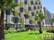 Departamento en Viña del Mar