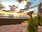 Departamento en Viña del Mar