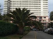 Departamento en Viña del Mar