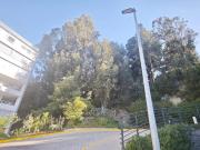 Departamento en Viña del Mar