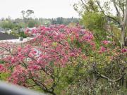 Departamento en Zug Verdi 2 ambientes