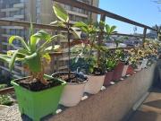 Departamento excelente ubicación, Bellavista