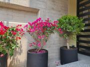 Departamento exterior en venta Colonia Mixcoac