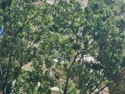 Departamento externo con vista despejada