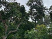 VENTA O ALQUILER DEPARTAMENTO SEMI AMOBLADO 1 PISO CON 2...