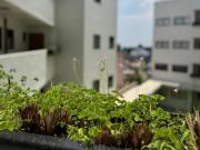 Departamento ideal para estudiante en Santa Fe