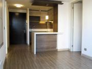 Departamento Irarrazaval Norte ID: 41201s