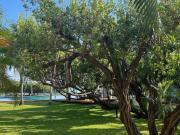 Departamento Isla Bonita