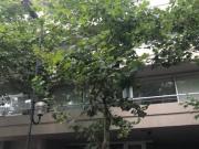 Departamento La Plata