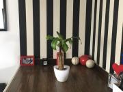 Departamento La Plata