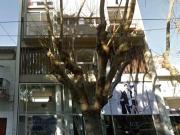 Departamento Venta La Plata