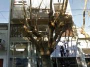 Departamento Venta La Plata