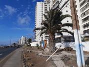 Departamento Llacolén