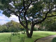 DEPARTAMENTO LO ALTO