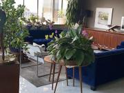 Departamento Lomas de Chapultepec