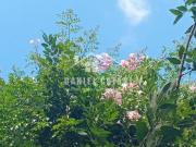 Departamento • m² • 3 Ambientes