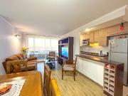 Departamento Marzo Diciembre Sector Agua Santa Viña del Mar