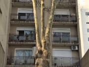 Departamento monoambiente en alquiler en La Plata