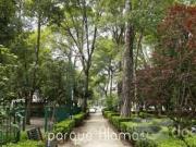 DEPARTAMENTO NUEVO EN VENTA EN COLONIA NARVARTE