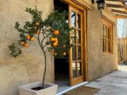 Departamento o cabaña campestre Departamento o cabaña campestre