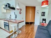 Departamento Para Inversion En Venta En Santiago