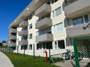 Departamento Pelluco Puerto Montt Un Dormitorios