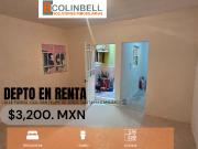 Departamento pequeño y cómodo en planta baja