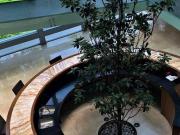 Departamento PH EN VERAMONTE RESIDENCIAL SANTA FE