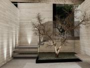 Departamento Polanco II Sección