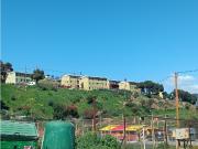 Departamento Remodelado en Venta, El Olivar– $62.000.000