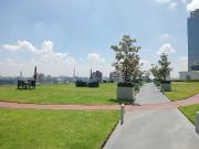 Departamento Renta Amueblado Reforma 222 Col Juárez...