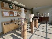 Departamento Renta Hipódromo Condesa