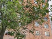 DEPARTAMENTO RESIDENCIAL SEMINUEVO BOSQUE CAMELINAS