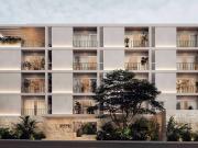 Departamento Semilla en Plantar Dzitya