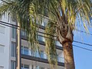 Departamento Semipiso de Categoría, a Estrenar, 1...