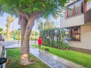 DEPARTAMENTO TIPO CASITA FRENTE A PARQUE 2 DORMS URB...