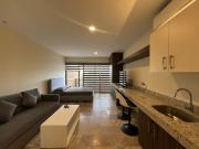 Departamento tipo estudio en RENTA en el centro de Playa...