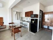 DEPARTAMENTO TIPO LOFT AMUEBLADO